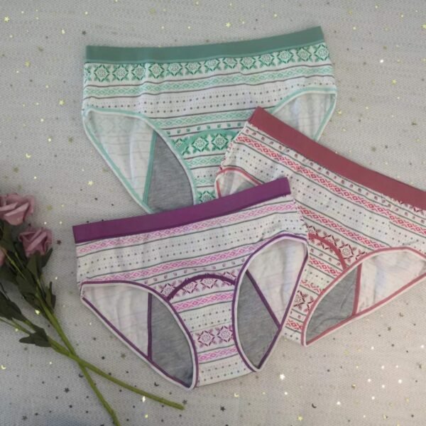 4 Layer Leakproof Wholesale Periods Reusable Washable Custom Period Panties Heavy Flow Menstrual - Image 3